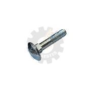 Surub M10x50 cap semirotund gat patrat
