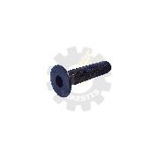 Surub M12x55 gr. 10.9 locas hexagonal 8