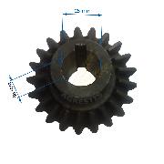 Pinion conic Z21