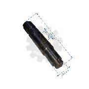 Arbore SPC filet