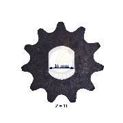 Roata lant SPC Z11 seminte