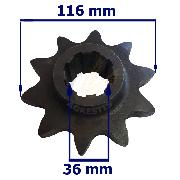 Pinion superior Z10