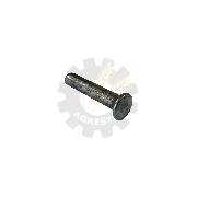 Nit 6x30 cap inecat