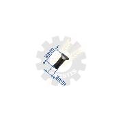 Nit 3x8 cap inecat