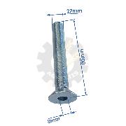 Surub M12x80 locas hexagonal 8