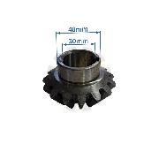 Pinion conic Z15 o30 coasa PZ