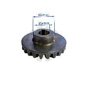 Pinion conic Z23 o25 coasa PZ