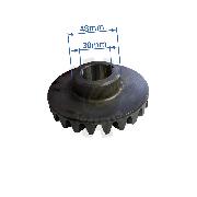 Pinion conic Z23 o30 coasa PZ