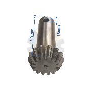 Ax cu pinion conic SIP Z14 L123 KK30-08/06 72-0118