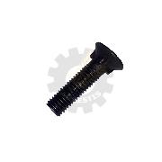 Surub M10x40 cap patrat