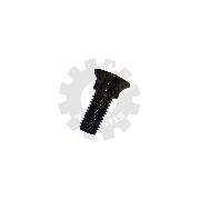 Surub M14x40 cap inecat gat patrat