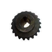 Pinion conic Z21