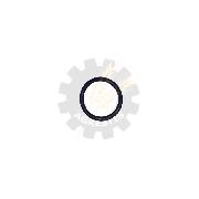 Inel O 19x3