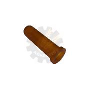 Tetina galeata vitei