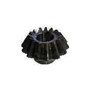 Pinion conic Z15 o25 coasa PZ