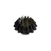 Pinion conic Z15 o30 coasa PZ