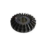 Pinion conic Z23 o30 coasa PZ