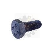 Surub M12x30 gr. 12.9